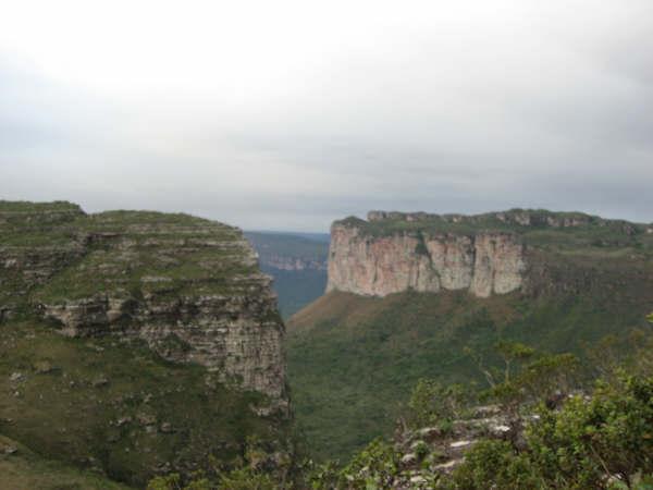 IMG_2493.jpg
