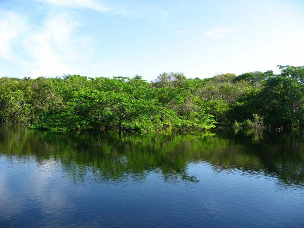 IMG_2755.jpg