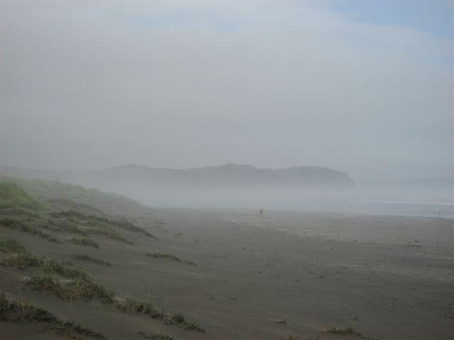 IMG_4563.JPG