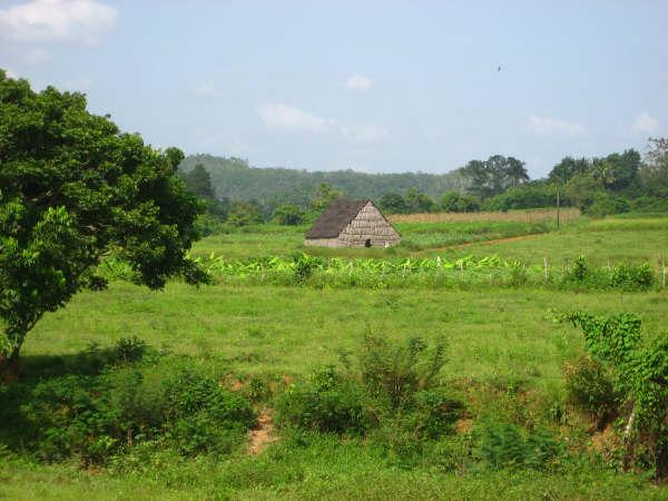 IMG_5279.jpg