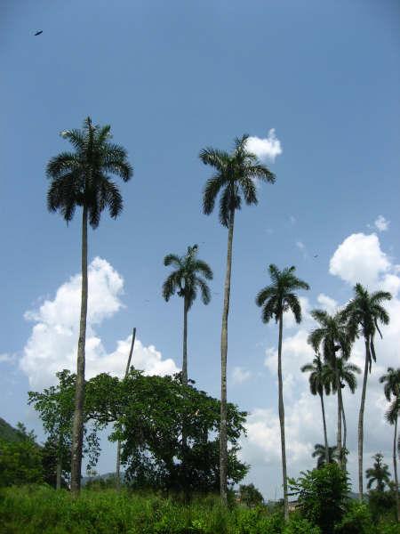 IMG_5446.jpg