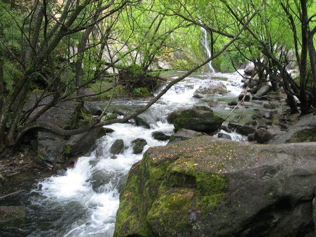 IMG_3596.JPG