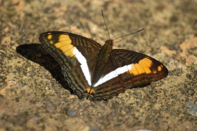 ESC_9504.jpg