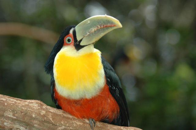 FSC_9946.jpg