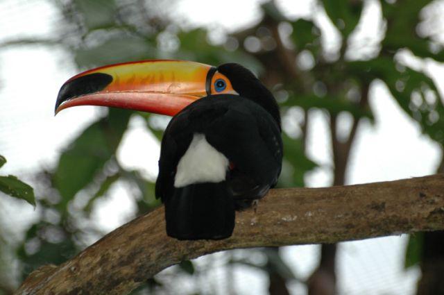 FSC_9978.jpg