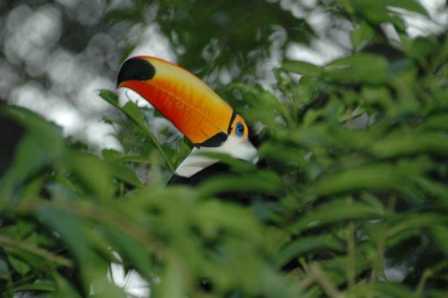FSC_9979.jpg