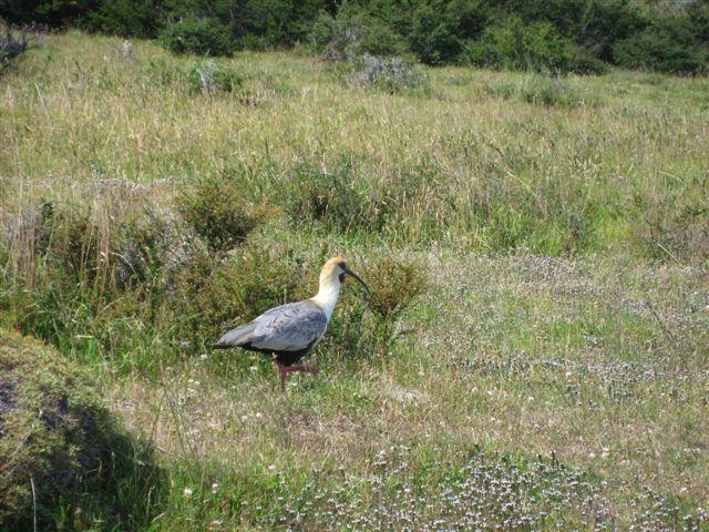 IMG_2467.JPG