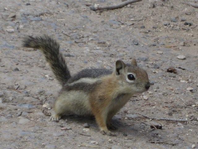 IMG_8470.jpg