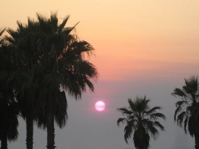 IMG_6438.jpg
