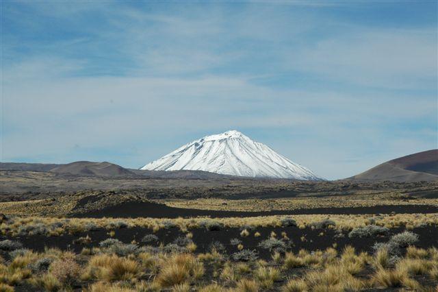 DSC_8209.JPG