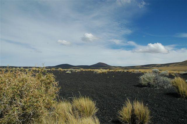 DSC_8212.JPG