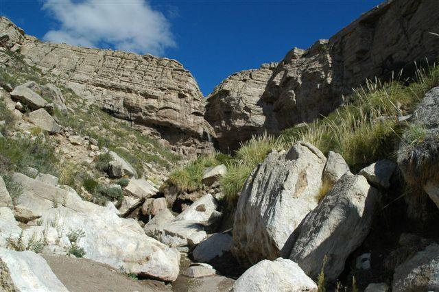 DSC_8452.JPG