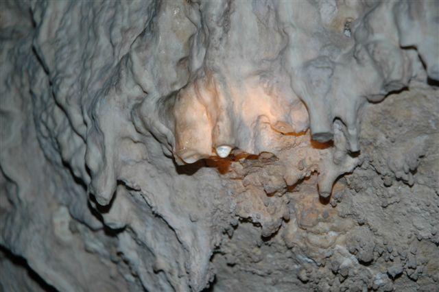 DSC_8517.JPG