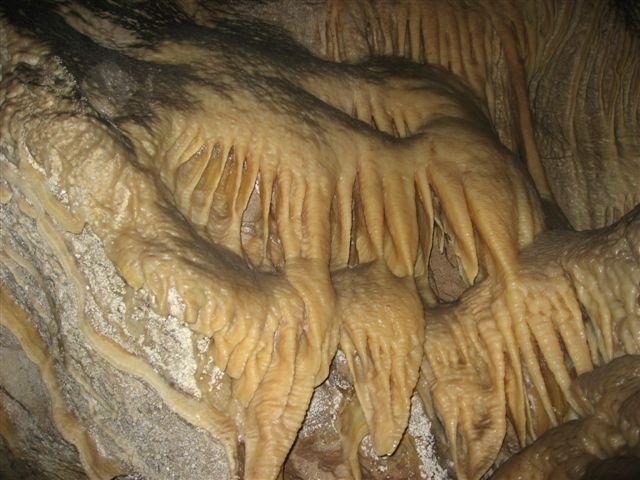 IMG_6216.JPG