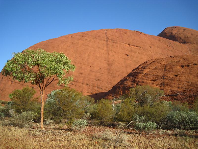 IMG_5946.JPG - Kata Tjuta - The Olgas