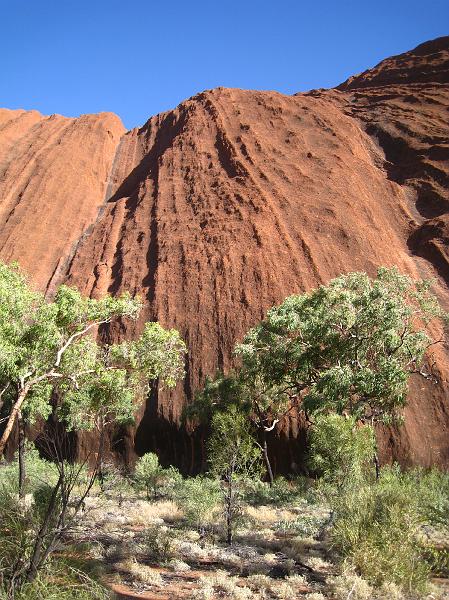 IMG_6095.JPG - Uluru / Ayers Rock