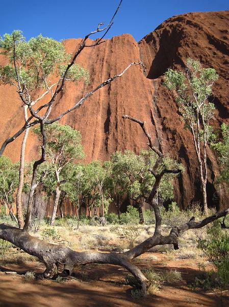 IMG_6096.JPG - Uluru / Ayers Rock