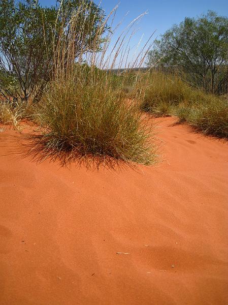 IMG_6177.JPG - Mod Kings Canyon