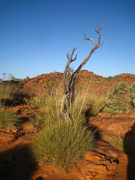 IMG_6215.JPG - Kings Canyon