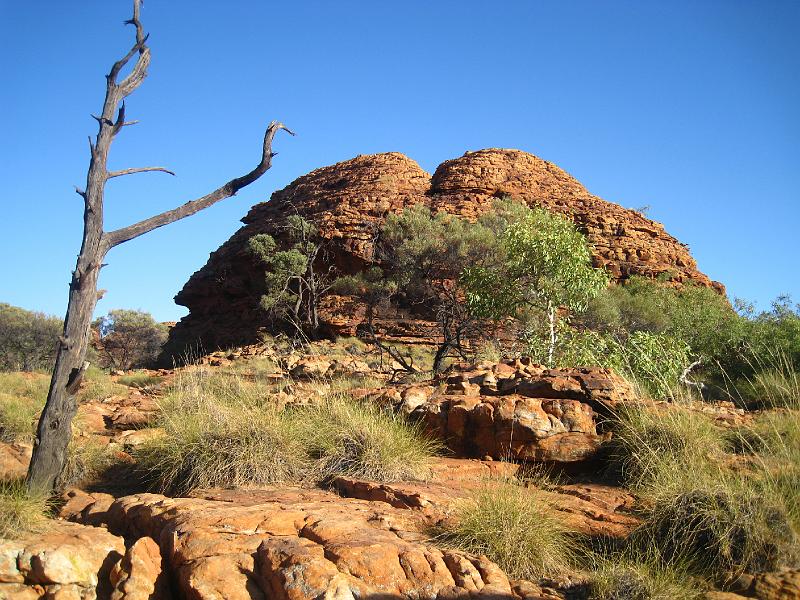 IMG_6247.JPG - Kings Canyon