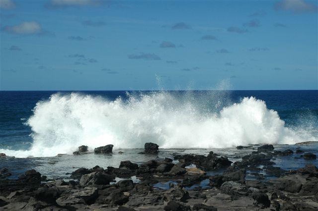 DSC_9208.JPG