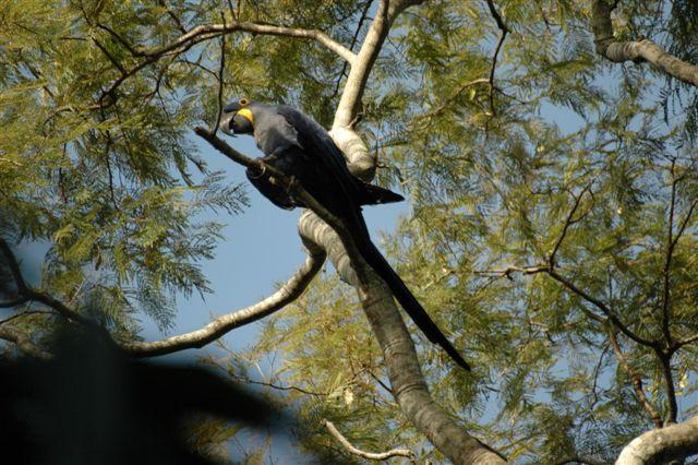 DSC_2226.JPG