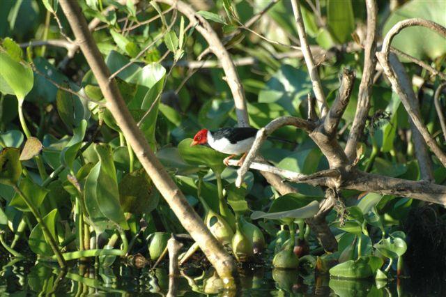 DSC_2472.JPG