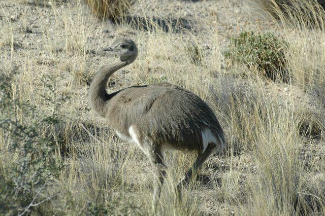 DSC_7676.JPG