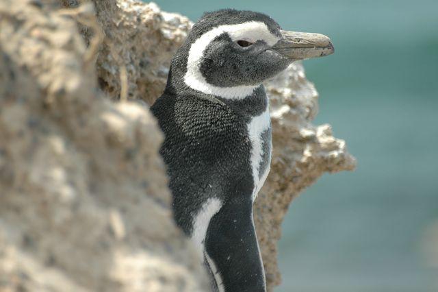 DSC_7784.JPG