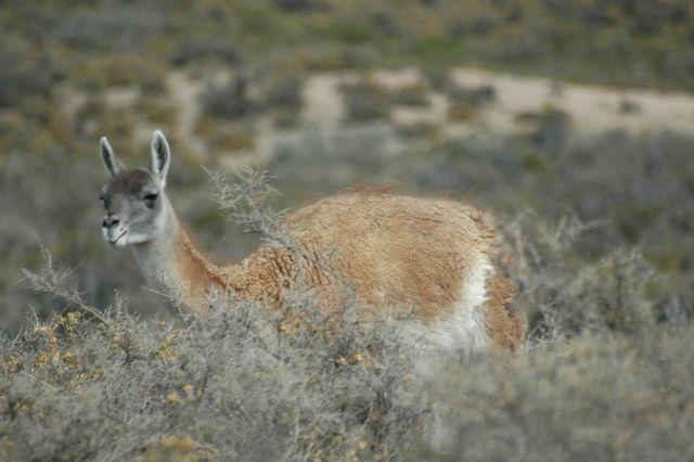 DSC_7857.JPG