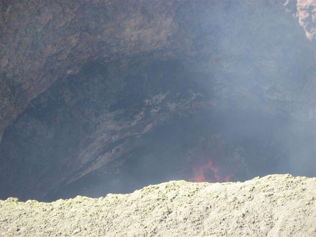 IMG_5558.JPG