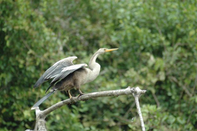 DSC_1450.jpg
