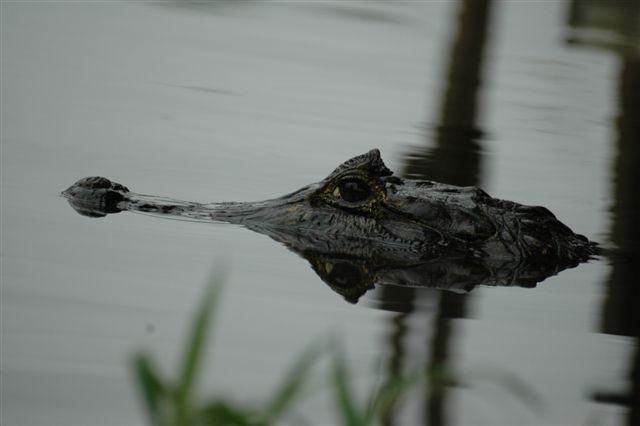 DSC_1551.jpg