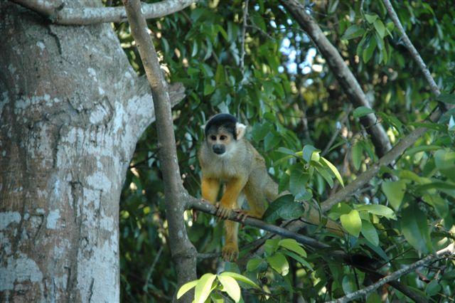 DSC_1682.jpg