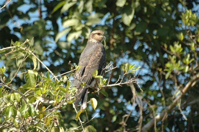 DSC_1706.jpg