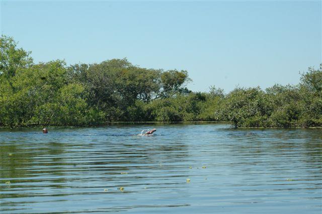 DSC_1791.jpg