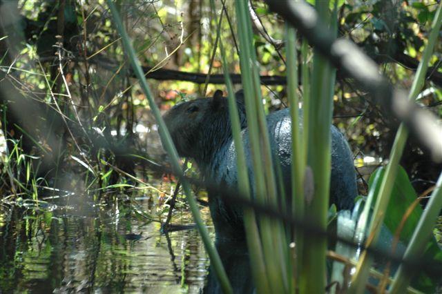 DSC_1854.jpg