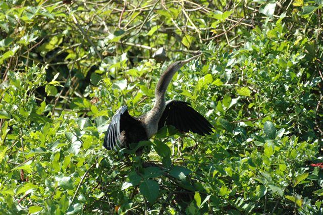 DSC_1865.jpg