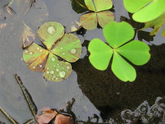 IMG_9969.jpg