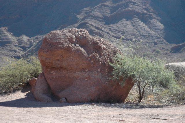 DSC_0450.JPG