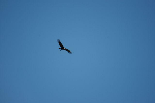 DSC_0480.JPG