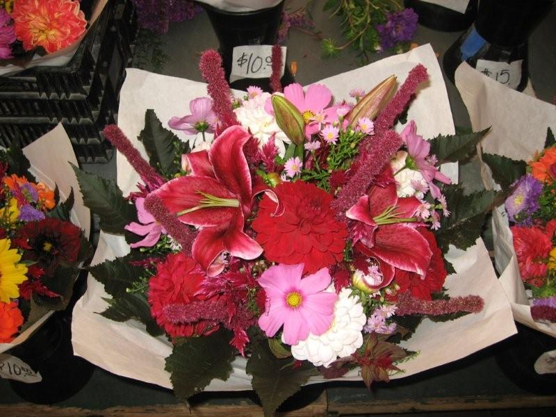 005IMG_0221.jpg